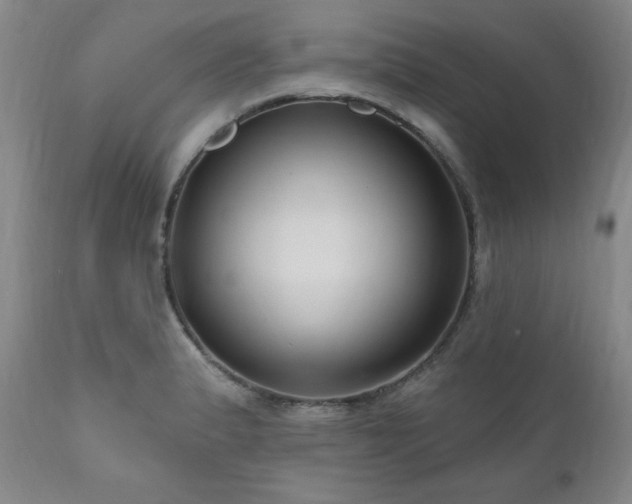 X0000111041183200906251354