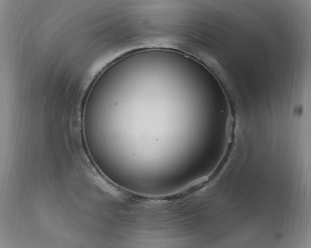 X0000111041184200906251354