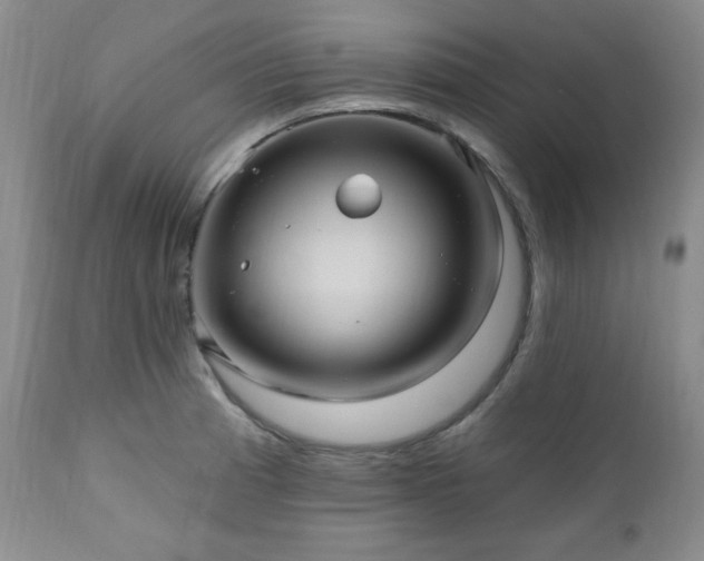 X0000111041185200906251354