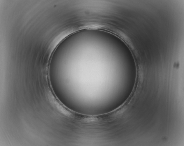 X0000111041186200906251354