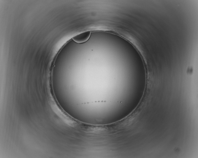 X0000111041187200906251354