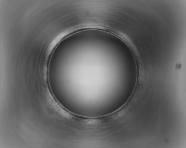 X0000111041188200906251354