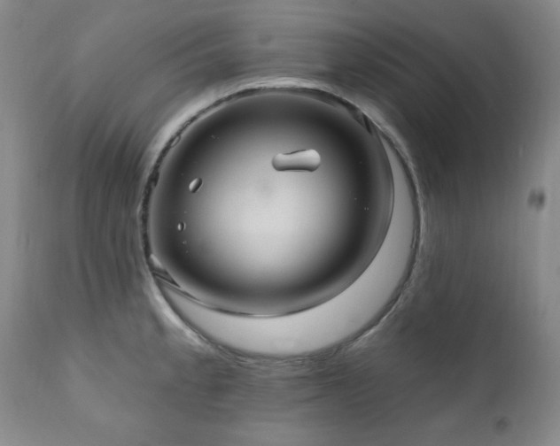 X0000111041189200906251354
