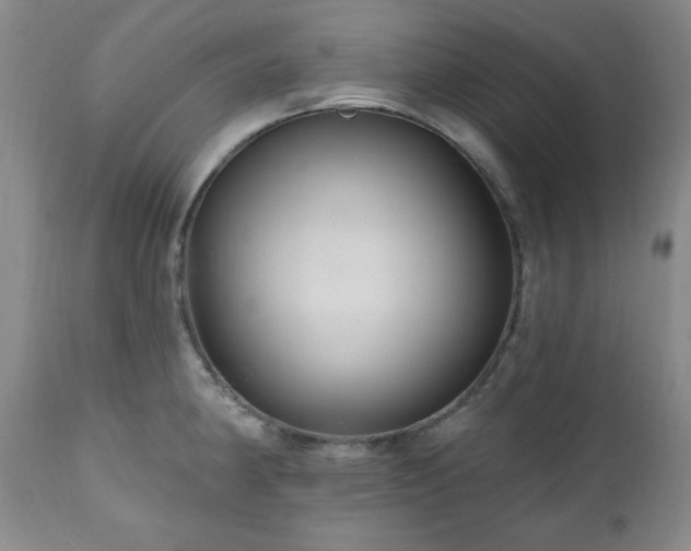 X0000111041190200906251354
