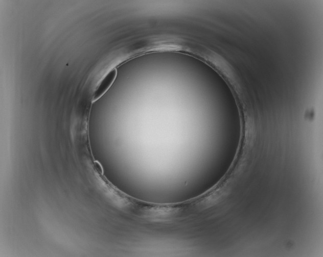 X0000111041193200906251354