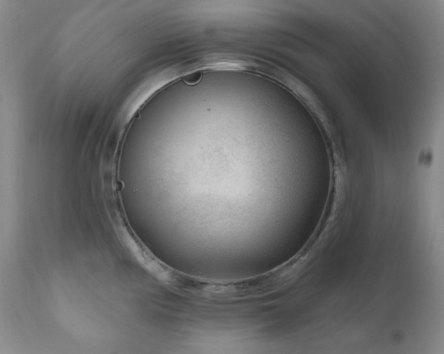 X0000111041194200906251354