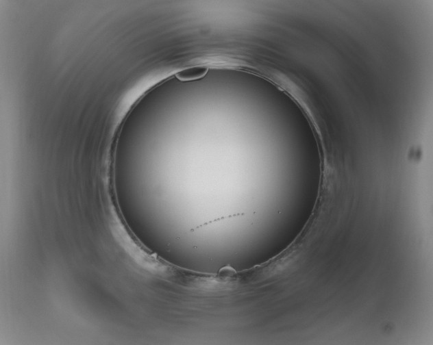 X0000111041195200906251354