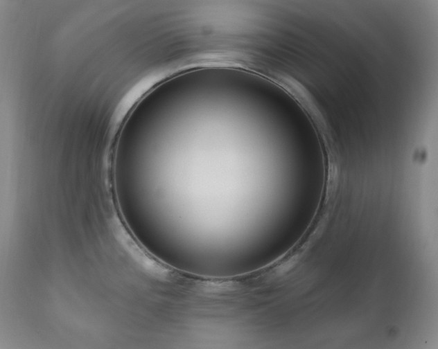 X0000111041196200906251354