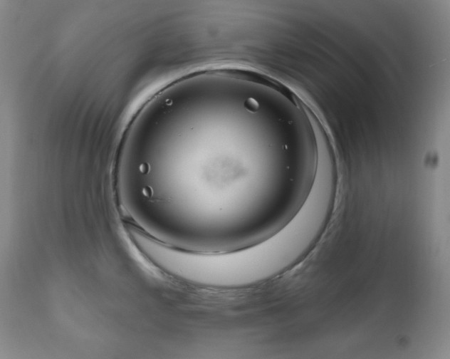 X0000111041197200906251354