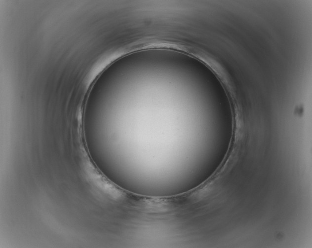 X0000111041198200906251354