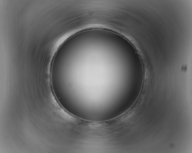 X0000111041199200906251354