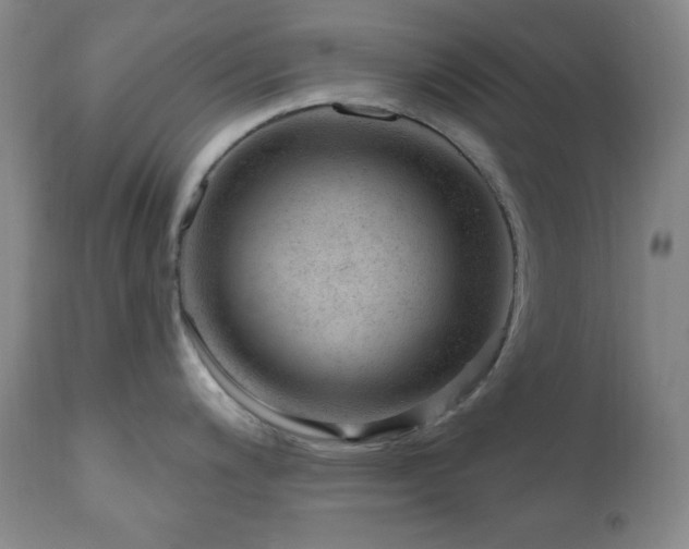 X0000111041200200906251354
