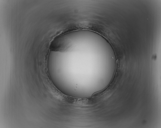 X0000111041201200906251353