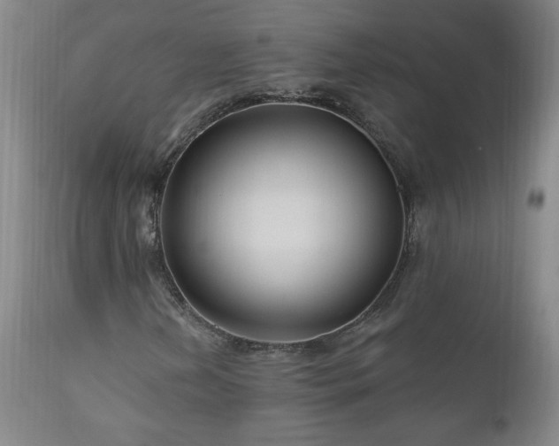 X0000111041202200906251353