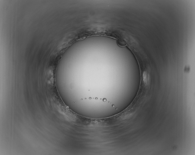 X0000111041203200906251353