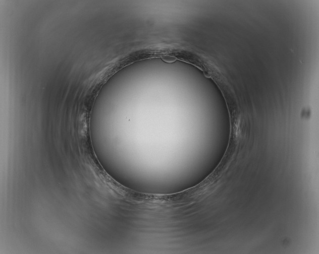 X0000111041204200906251353