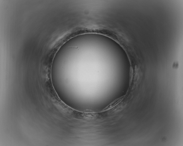 X0000111041205200906251353
