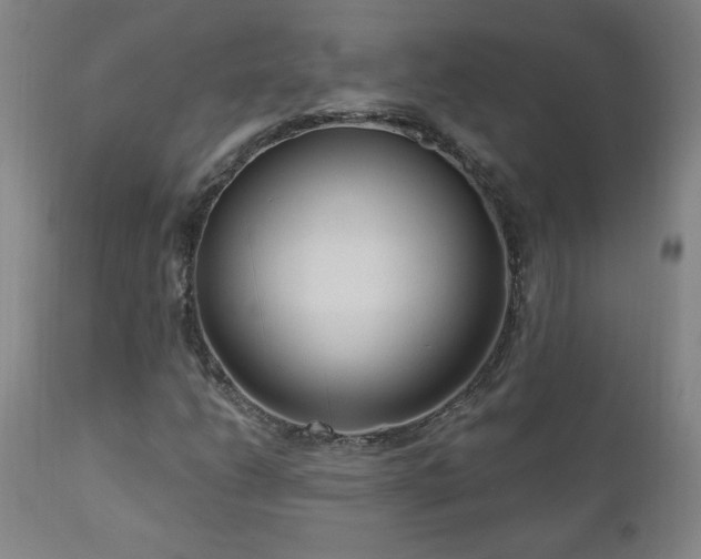 X0000111041206200906251353