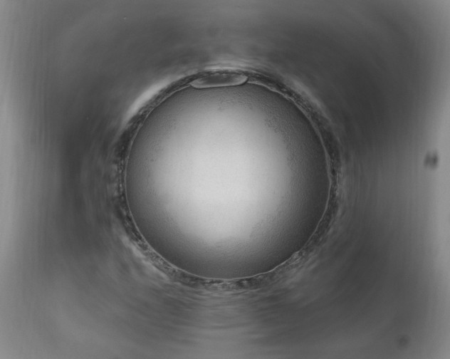X0000111041208200906251353