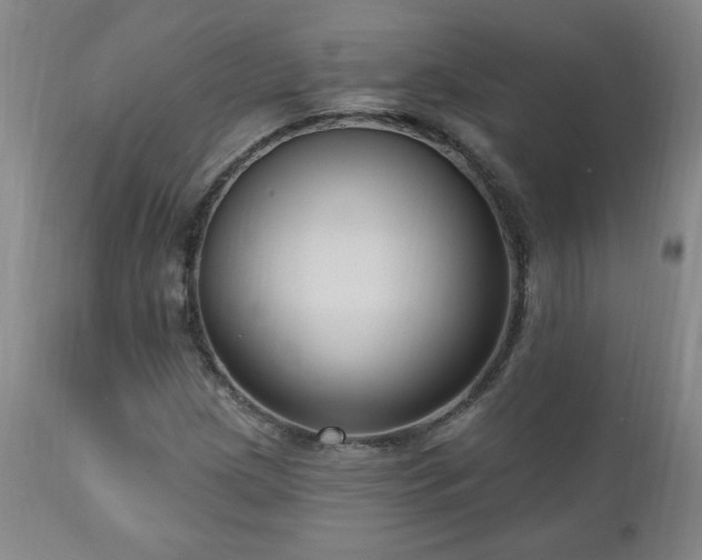 X0000111041209200906251353