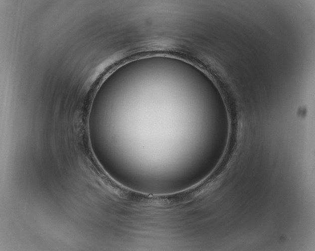 X0000111041210200906251353