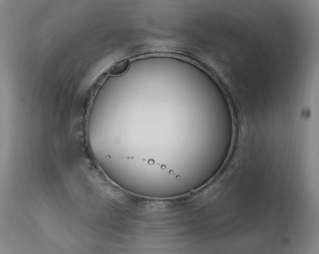X0000111041211200906251353