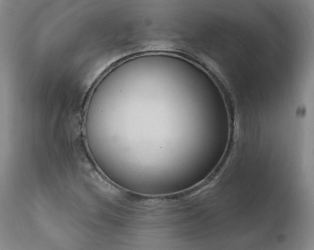 X0000111041212200906251353