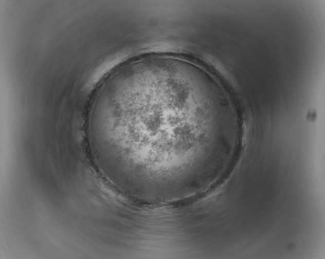 X0000111041213200906251353