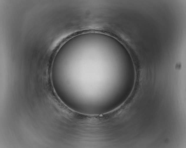 X0000111041214200906251353