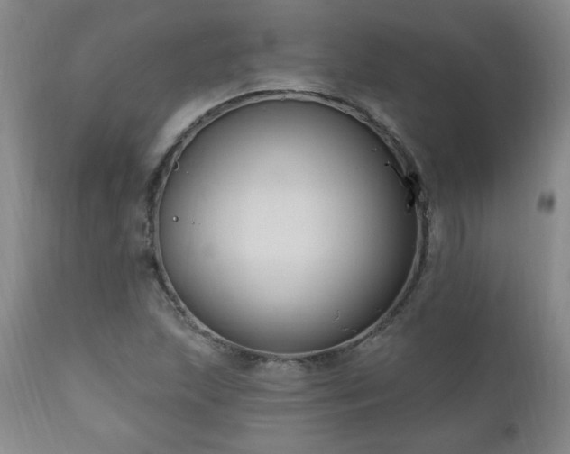 X0000111041215200906251353