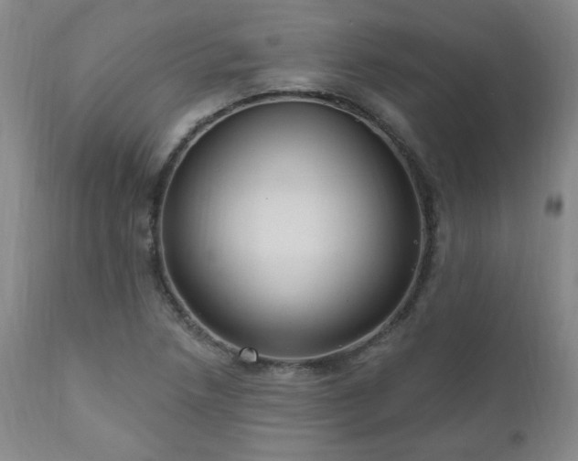X0000111041218200906251353