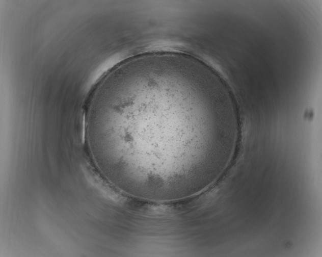 X0000111041219200906251353