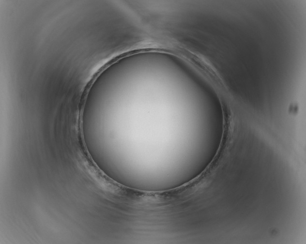 X0000111041220200906251353