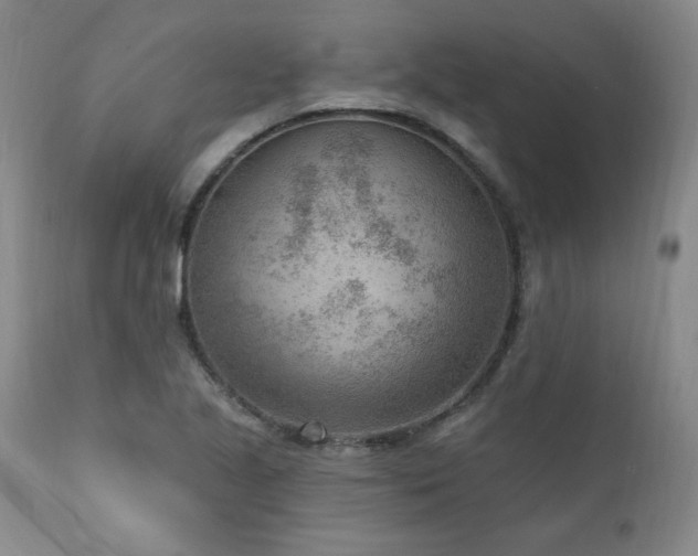 X0000111041221200906251353