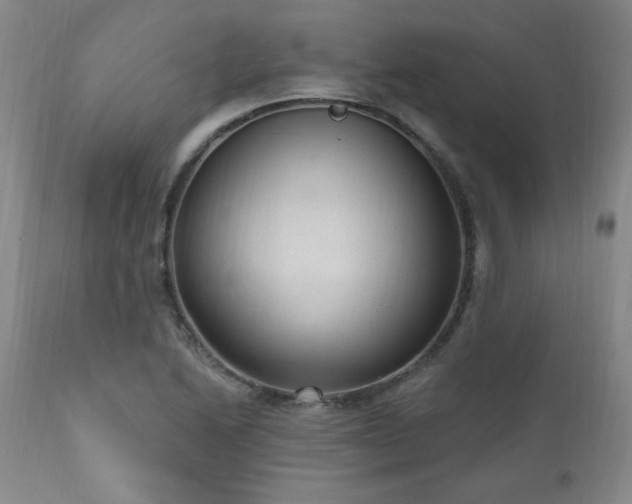 X0000111041222200906251353