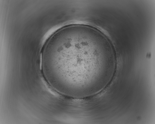 X0000111041223200906251353