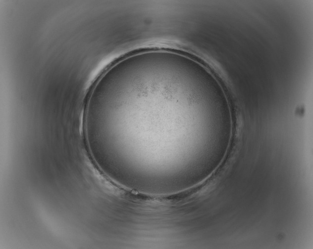 X0000111041224200906251353