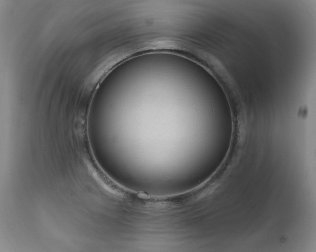 X0000111041225200906251353