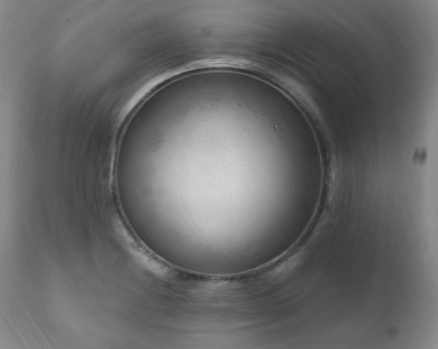 X0000111041228200906251353