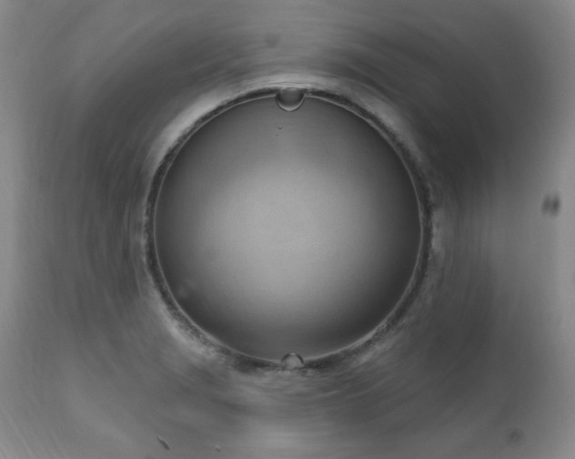 X0000111041229200906251353