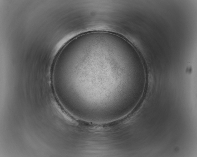 X0000111041230200906251353