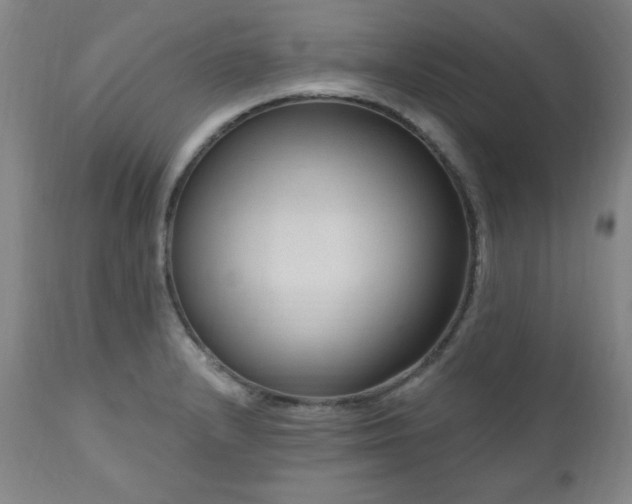 X0000111041232200906251353