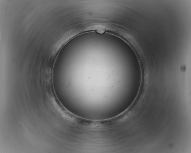 X0000111041233200906251353