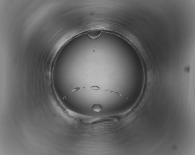 X0000111041234200906251353