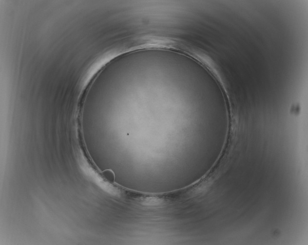 X0000111041235200906251353