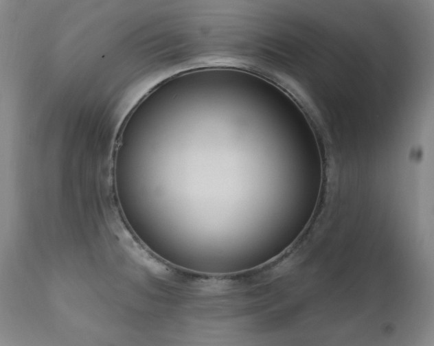 X0000111041236200906251353