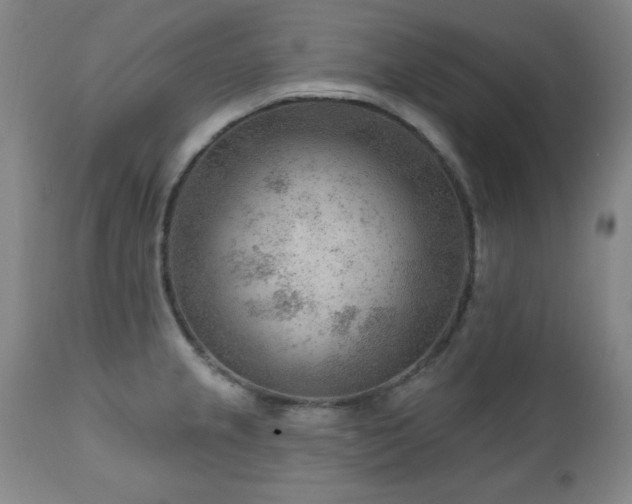 X0000111041237200906251353