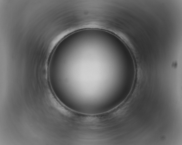 X0000111041238200906251353