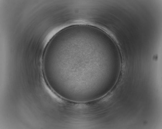 X0000111041239200906251353