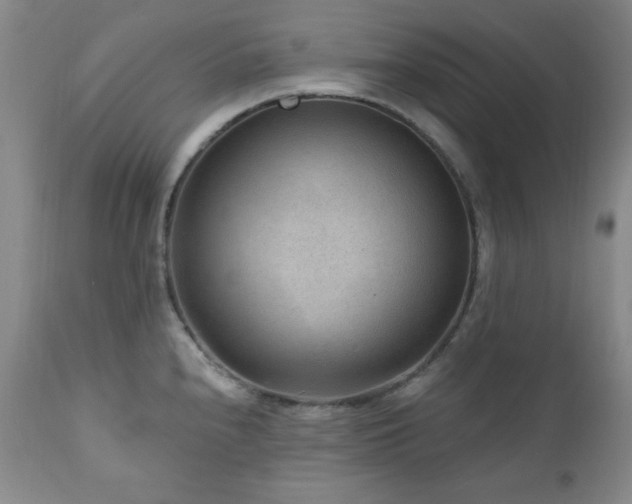 X0000111041240200906251354